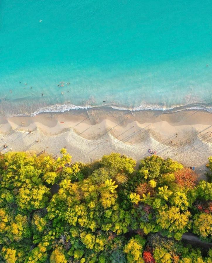 Somptueux Duplex Sur La Route Des Plages سانت آن المظهر الخارجي الصورة